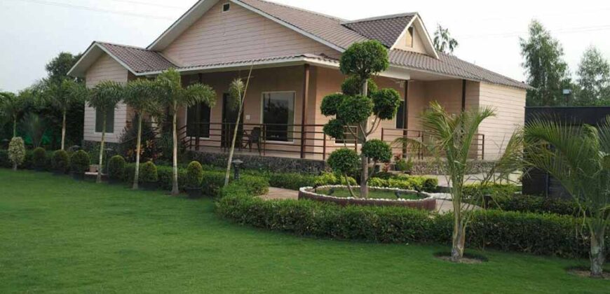 Mini Farm House Land 1008 Sq Yard