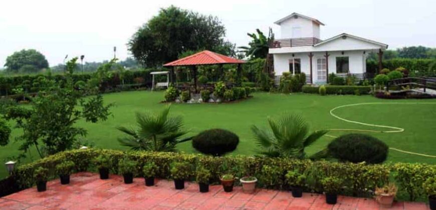 Mini Farm House Land 1008 Sq Yard